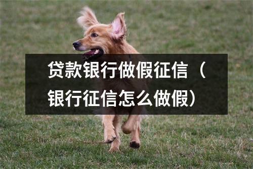 贷款银行做假征信（银行征信怎么做假）