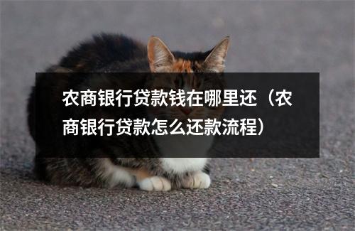 农商银行贷款钱在哪里还（农商银行贷款怎么还款流程）