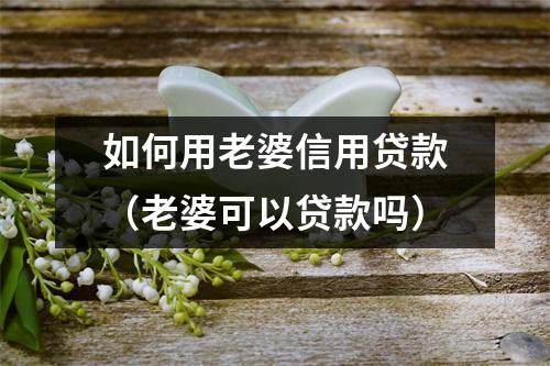 如何用老婆信用贷款（老婆可以贷款吗）