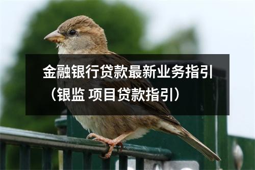 金融银行贷款最新业务指引（银监 项目贷款指引）