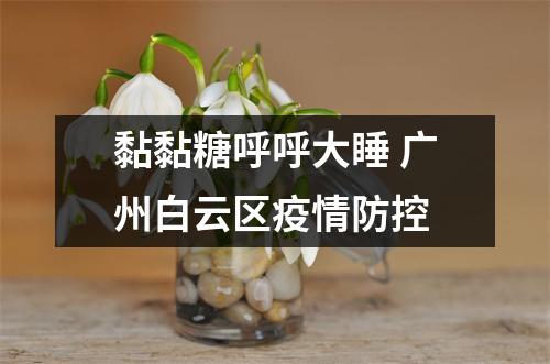 黏黏糖呼呼大睡 广州白云区疫情防控