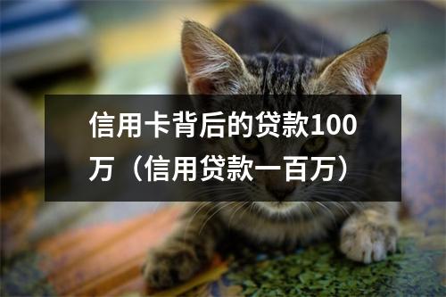 信用卡背后的贷款100万（信用贷款一百万）