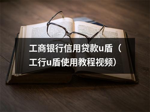 工商银行信用贷款u盾(工行u盾使用教程视频)