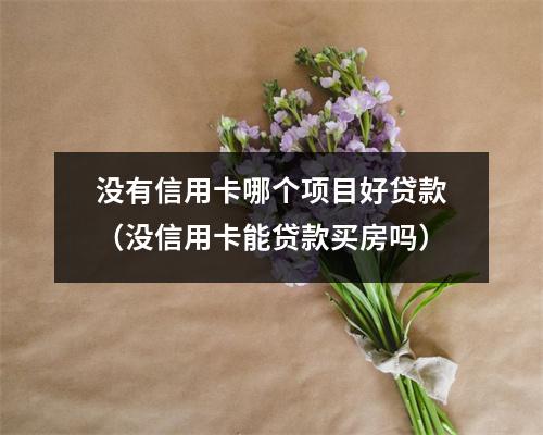 没有信用卡哪个项目好贷款（没信用卡能贷款买房吗）