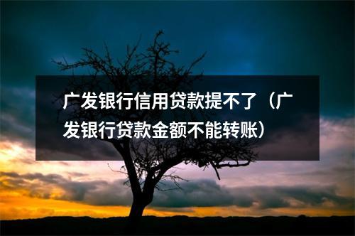 广发银行信用贷款提不了（广发银行贷款金额不能转账）