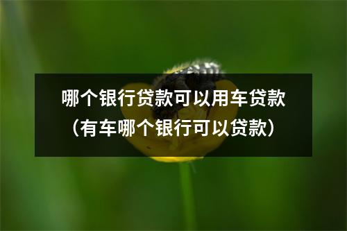 哪个银行贷款可以用车贷款（有车哪个银行可以贷款）