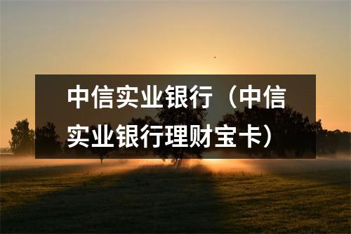 中信实业银行（中信实业银行理财宝卡）