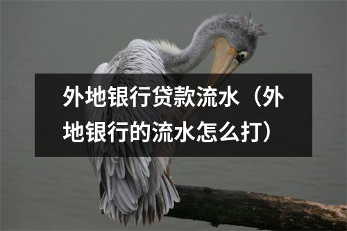 外地银行贷款流水（外地银行的流水怎么打）