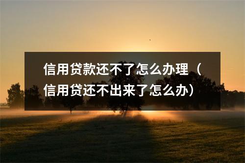 信用贷款还不了怎么办理（信用贷还不出来了怎么办）