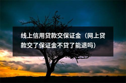 线上信用贷款交保证金（网上贷款交了保证金不贷了能退吗）