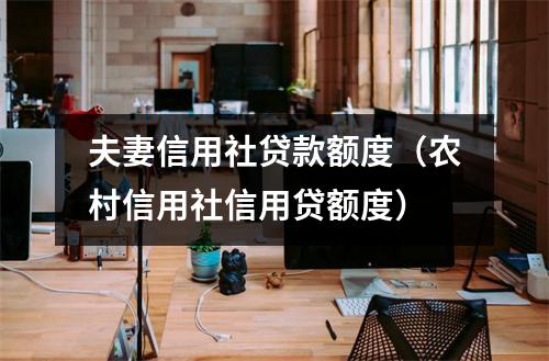 夫妻信用社贷款额度（农村信用社信用贷额度）