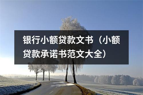银行小额贷款文书（小额贷款承诺书范文大全）