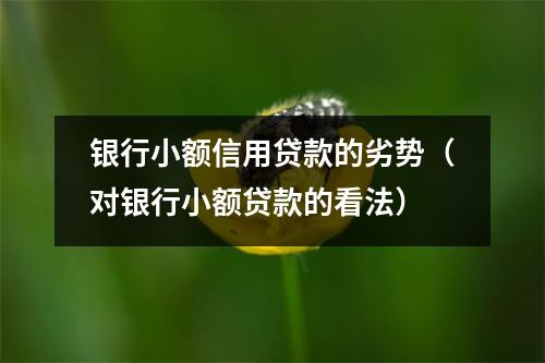 银行小额信用贷款的劣势（对银行小额贷款的看法）