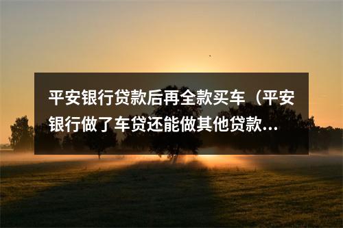 平安银行贷款后再全款买车（平安银行做了车贷还能做其他贷款吗）