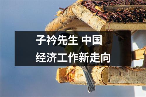 子衿先生 中国经济工作新走向