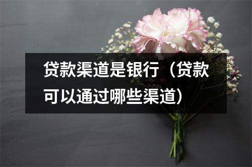 贷款渠道是银行（贷款可以通过哪些渠道）