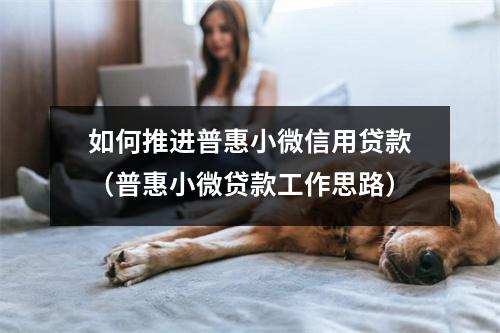 如何推进普惠小微信用贷款（普惠小微贷款工作思路）
