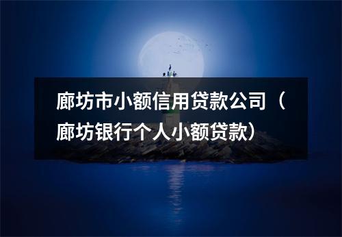 廊坊市小额信用贷款公司（廊坊银行个人小额贷款）