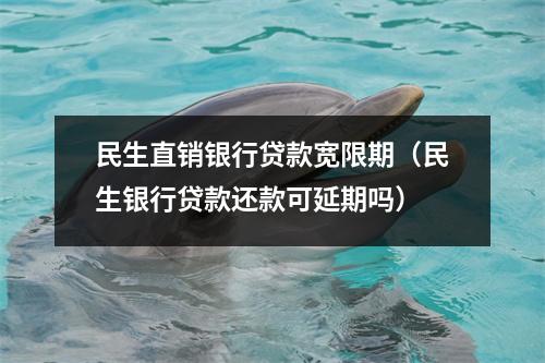 民生直销银行贷款宽限期(民生银行贷款还款可延期吗)