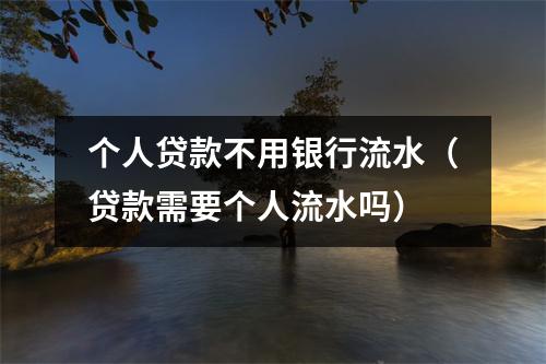 个人贷款不用银行流水（贷款需要个人流水吗）