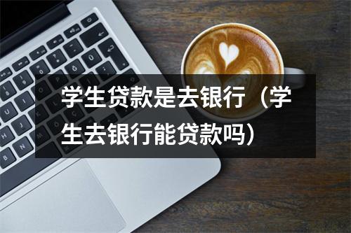 学生贷款是去银行（学生去银行能贷款吗）