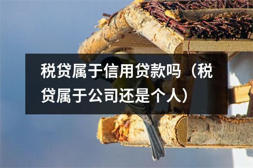 税贷属于信用贷款吗（税贷属于公司还是个人）