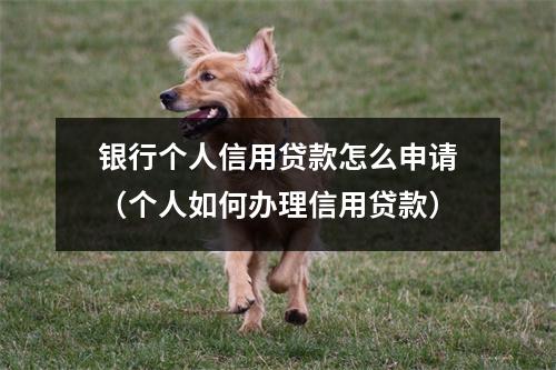 银行个人信用贷款怎么申请（个人如何办理信用贷款）