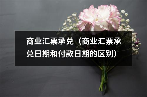 商业汇票承兑（商业汇票承兑日期和付款日期的区别）