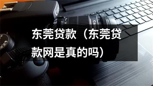 东莞贷款（东莞贷款网是真的吗）