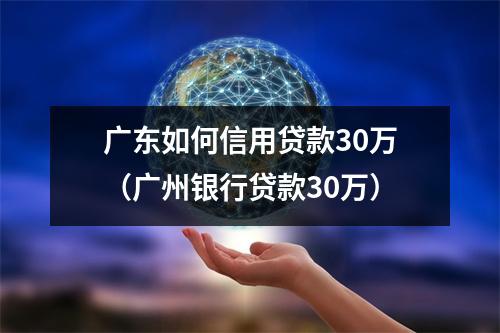 广东如何信用贷款30万（广州银行贷款30万）