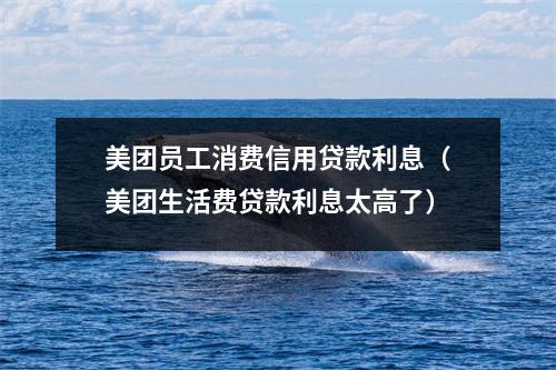 美团员工消费信用贷款利息（美团生活费贷款利息太高了）