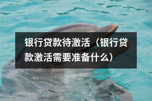 银行贷款待激活（银行贷款激活需要准备什么）