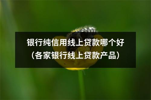 银行纯信用线上贷款哪个好（各家银行线上贷款产品）