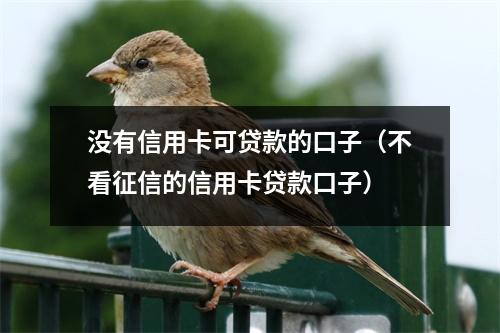 没有信用卡可贷款的口子（不看征信的信用卡贷款口子）