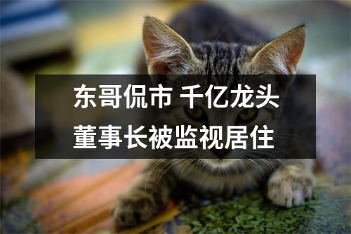 东哥侃市 千亿龙头董事长被监视居住