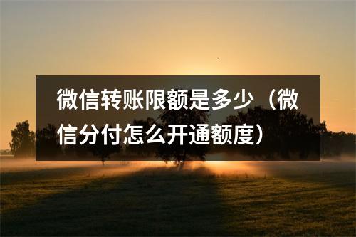 微信转账限额是多少（微信分付怎么开通额度）