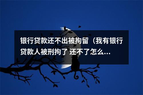 银行贷款还不出被拘留（我有银行贷款人被刑拘了 还不了怎么办）