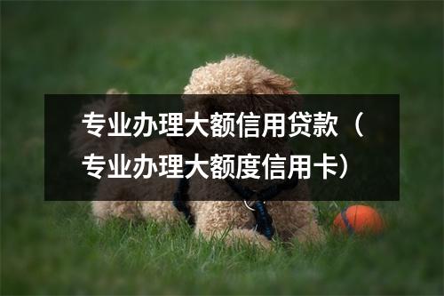专业办理大额信用贷款(专业办理大额度信用卡)