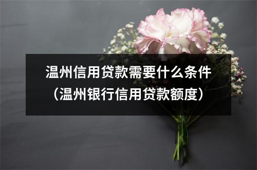 温州信用贷款需要什么条件(温州银行信用贷款额度)