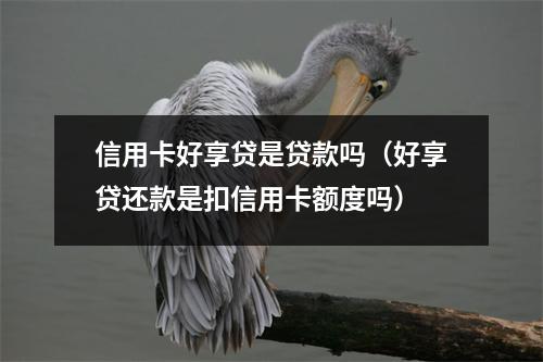 信用卡好享贷是贷款吗（好享贷还款是扣信用卡额度吗）