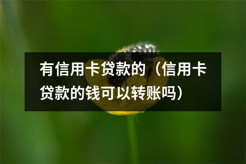 有信用卡贷款的（信用卡贷款的钱可以转账吗）