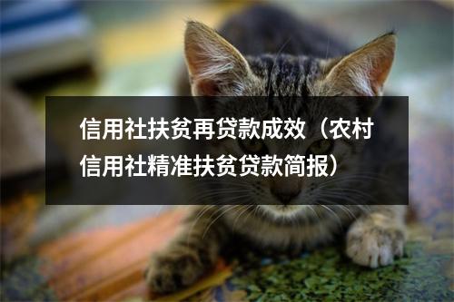 信用社扶贫再贷款成效（农村信用社精准扶贫贷款简报）