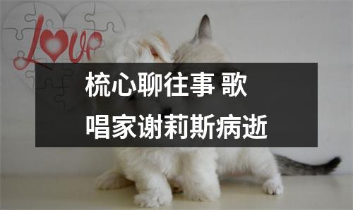 梳心聊往事 歌唱家谢莉斯病逝