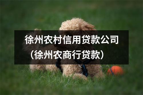 徐州农村信用贷款公司（徐州农商行贷款）