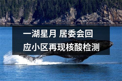 一湖星月 居委会回应小区再现核酸检测