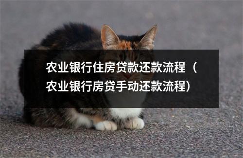 农业银行住房贷款还款流程（农业银行房贷手动还款流程）