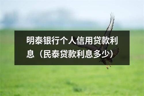 明泰银行个人信用贷款利息（民泰贷款利息多少）