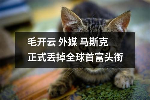 毛开云 外媒 马斯克正式丢掉全球首富头衔