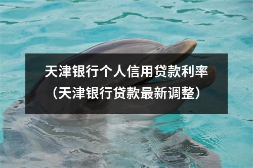 天津银行个人信用贷款利率(天津银行贷款最新调整)