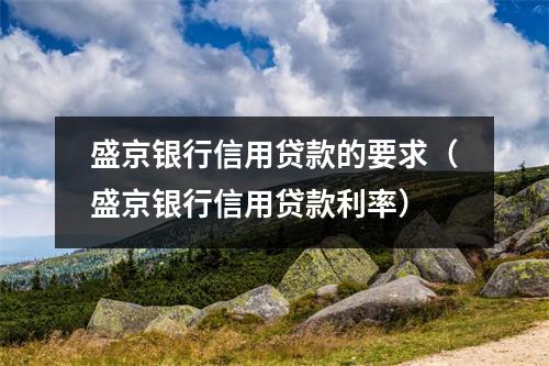盛京银行信用贷款的要求(盛京银行信用贷款利率)